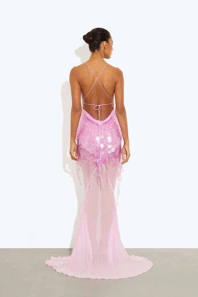 Adelina Sheer Mesh Maxi Dress