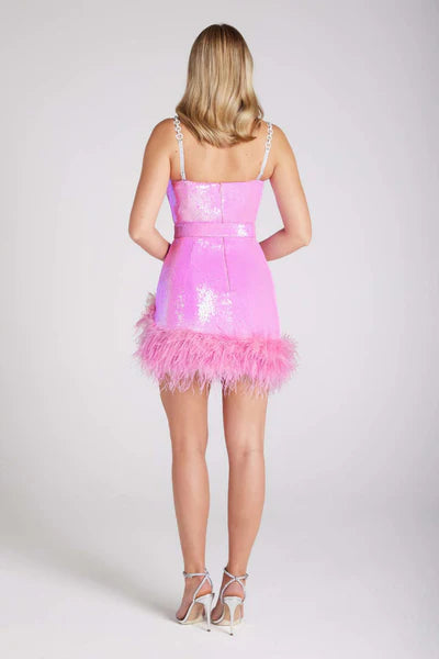 Emmeline Feather Hem Mini Dress