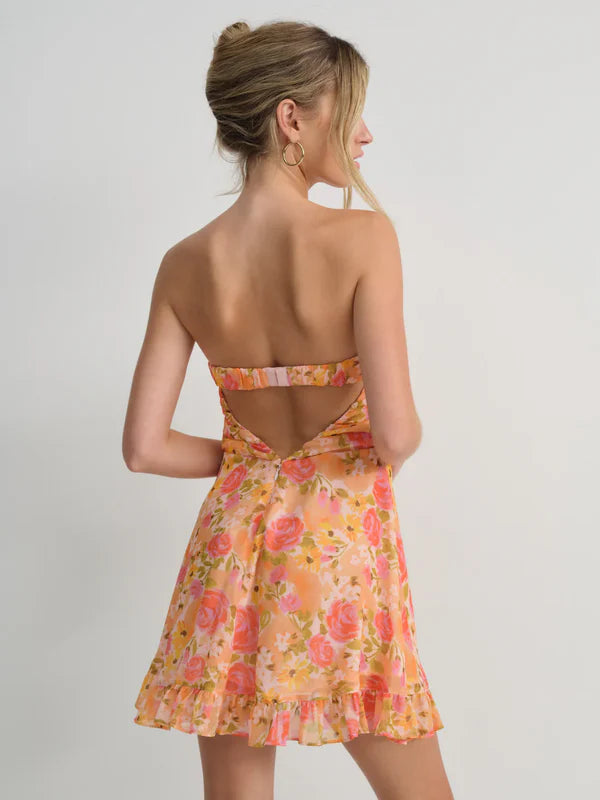 Alvetta Mini Dress