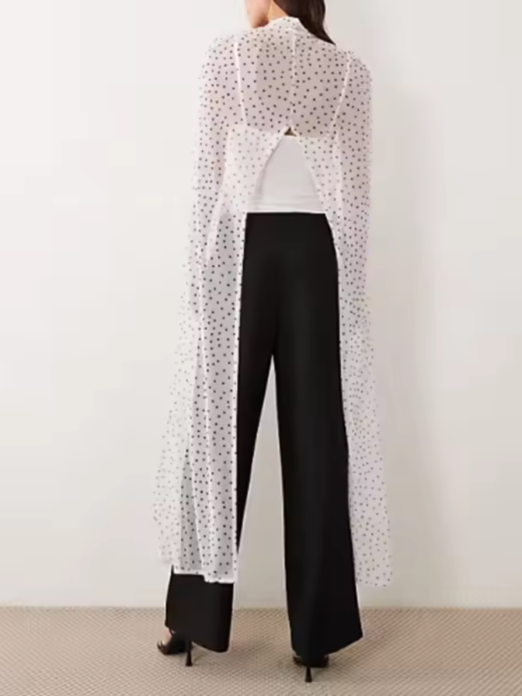 Ione Sheer Cape Pants Set
