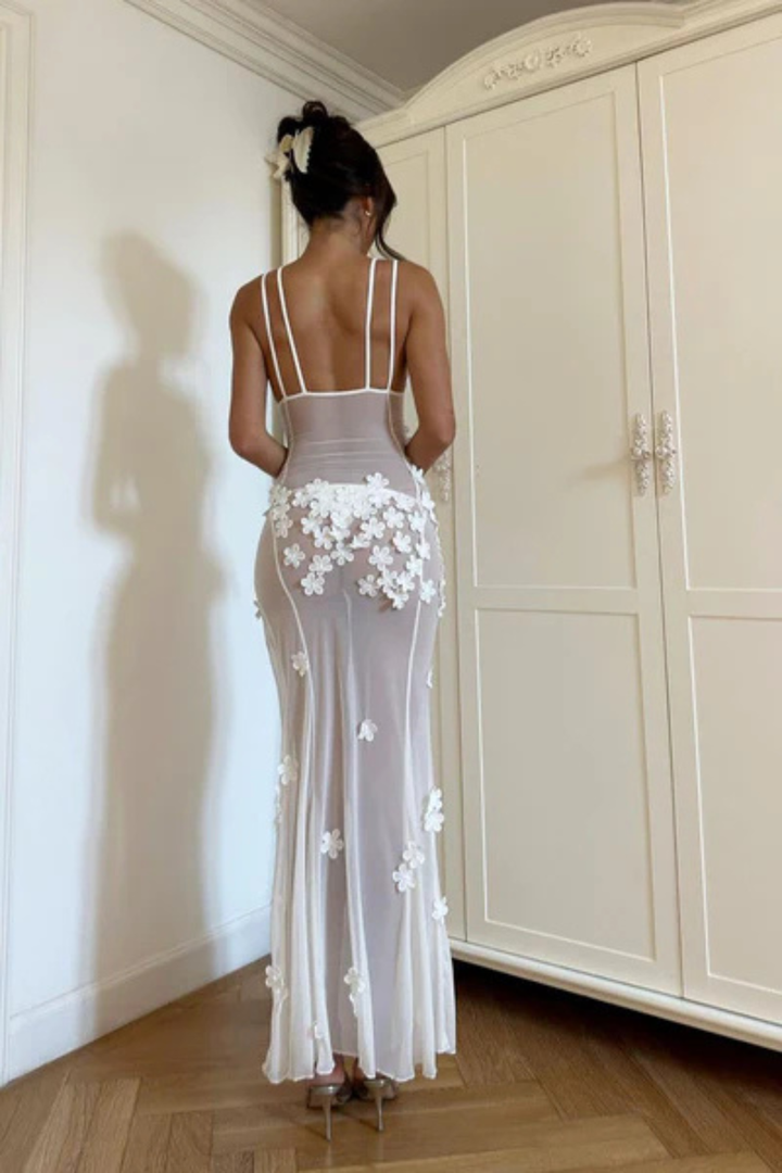 Maelle Sheer Tulle Maxi Dress