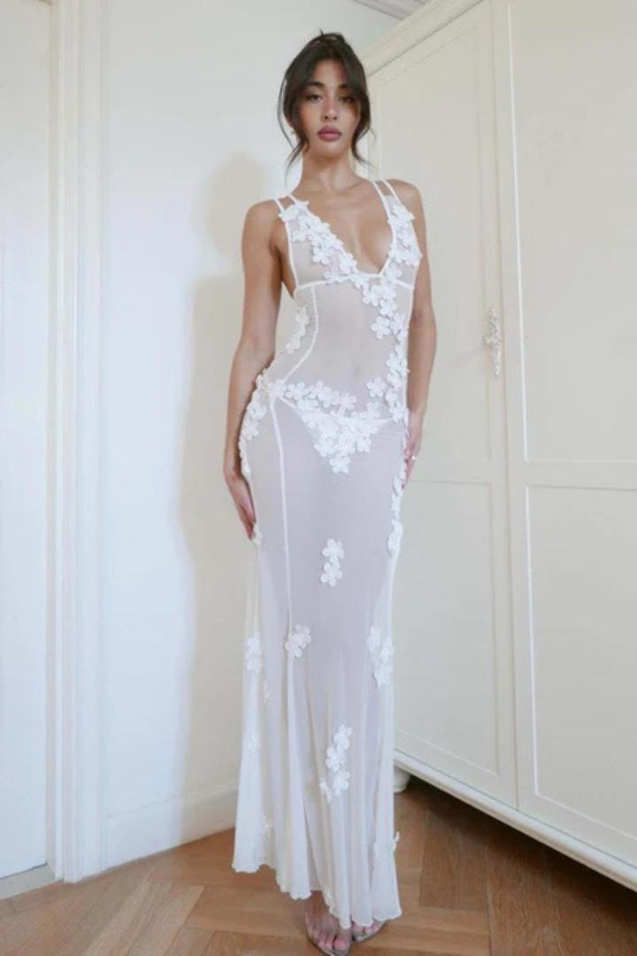 Maelle Sheer Tulle Maxi Dress