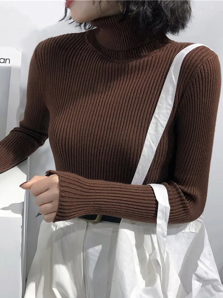 Valentina Turtleneck