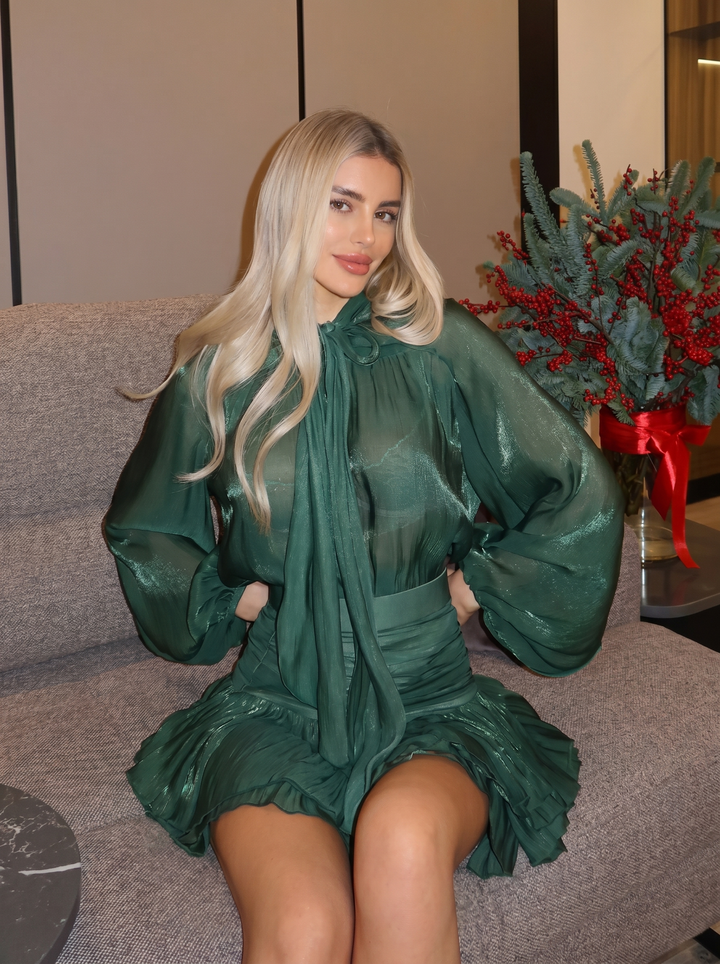 Jade Sheer Bow Mini Dress